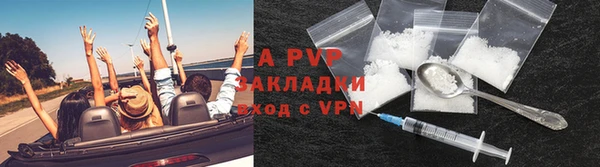 гашик Гусиноозёрск