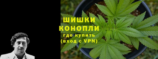 ALPHA-PVP Гусев