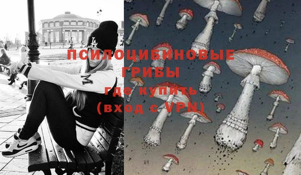 тгк Гусь-Хрустальный