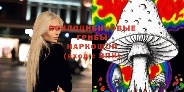 ALPHA-PVP Гусев