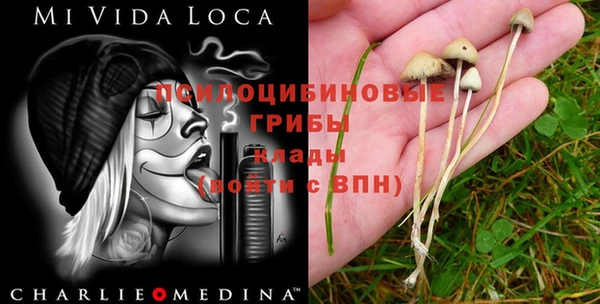 тгк Гусь-Хрустальный