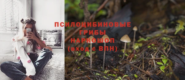 гашик Гусиноозёрск