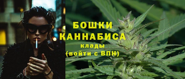 ALPHA-PVP Гусев