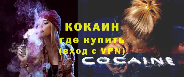 тгк Гусь-Хрустальный