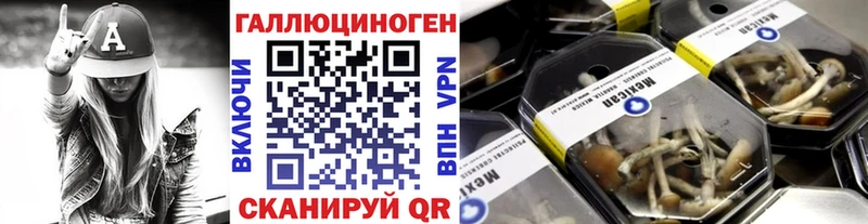 Купить  Куровское  Псилоцибиновые грибы ЛСД 